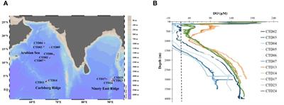 Expanding oxygen minimum zones in the northern Indian Ocean predicted by hypoxia-related bacteria